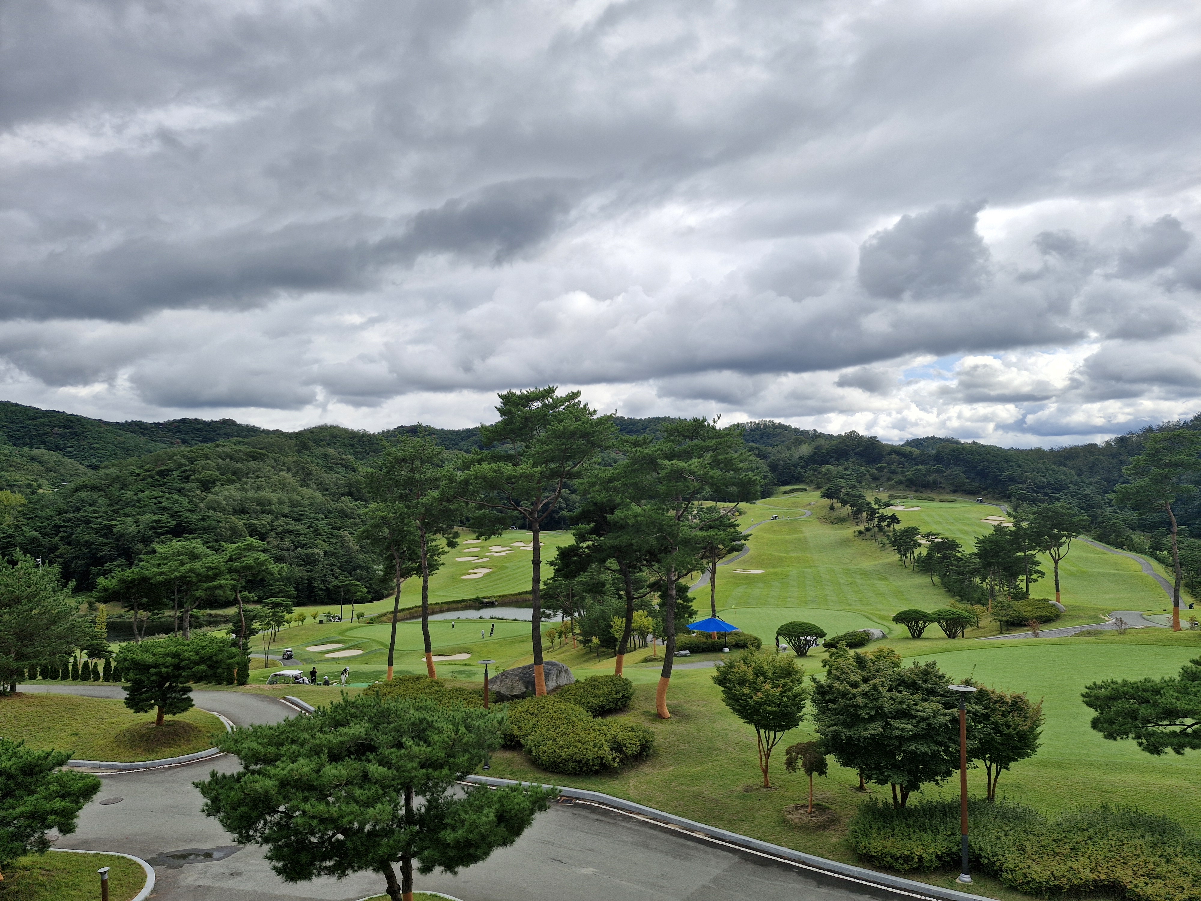 제11회 일반 사진 63