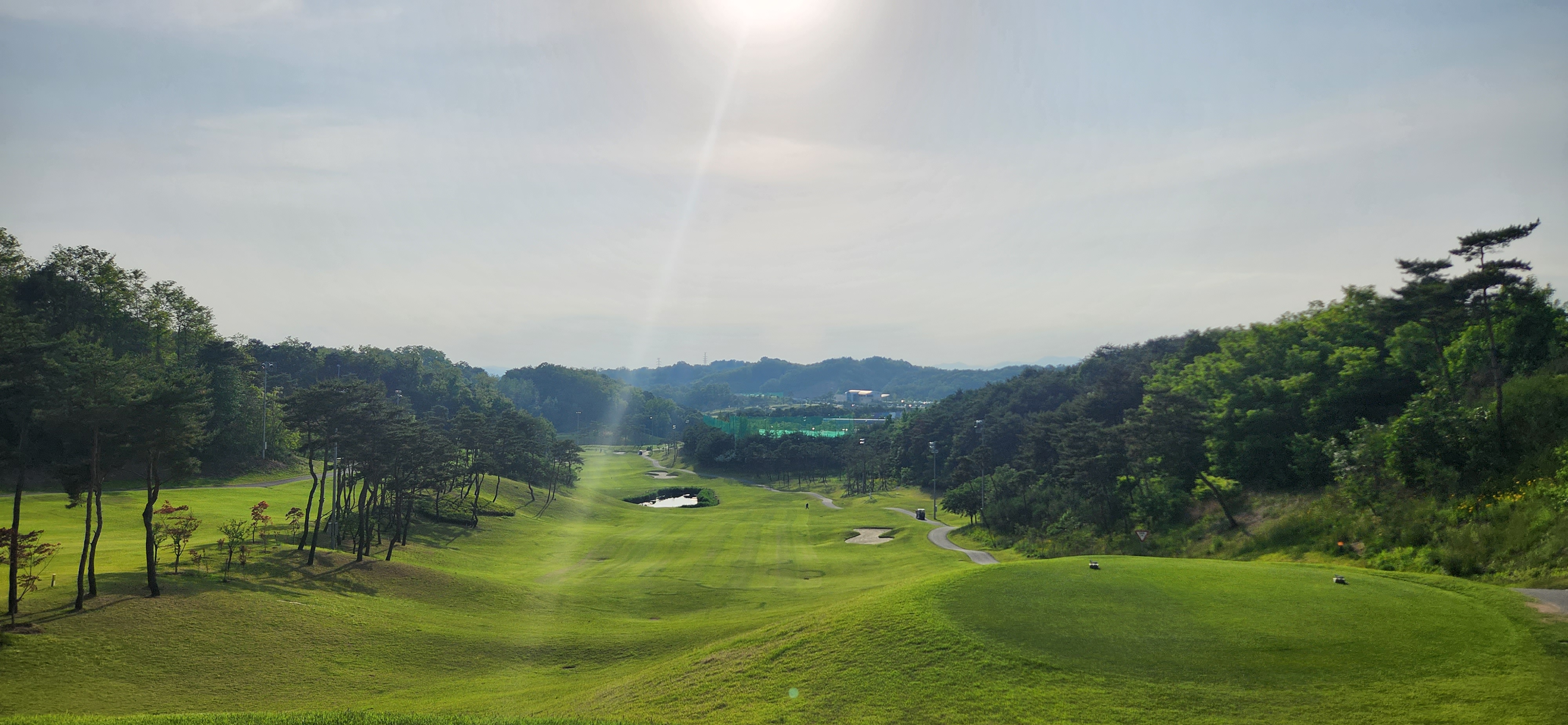 제6회 일반 사진 242